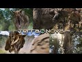 Terra Nova 2011 Carnotaurus Screen Time