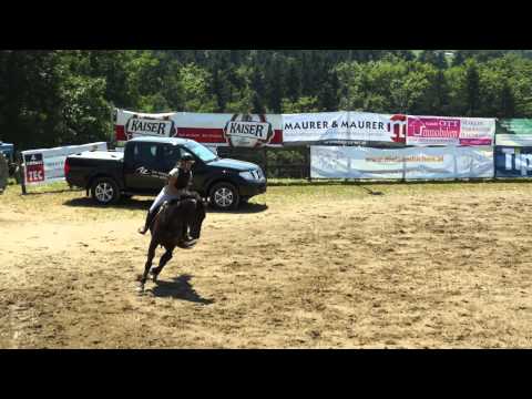 BW 17 Standard A 27072013 130224