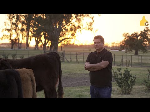 LA JUANITA Y SURANGUS GENETICA PARA CADA AMBIENTE