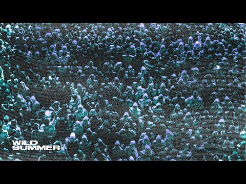 Miles Minnick, Jon Keith, nobigdyl. - WILD SUMMER (Official Audio)
