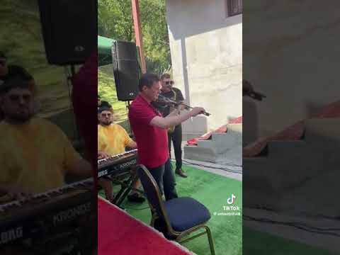 formația Anton trifoi live