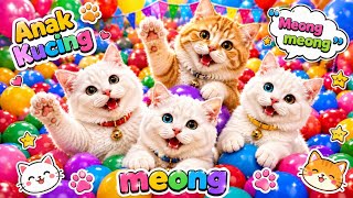 Download lagu KITTEN MEOW MEOW | Children's Songs | Popular Indonesian Children's Song The Cute Cat Meong mp3