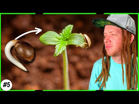 🌱The Secret to Starting Seeds Successfully