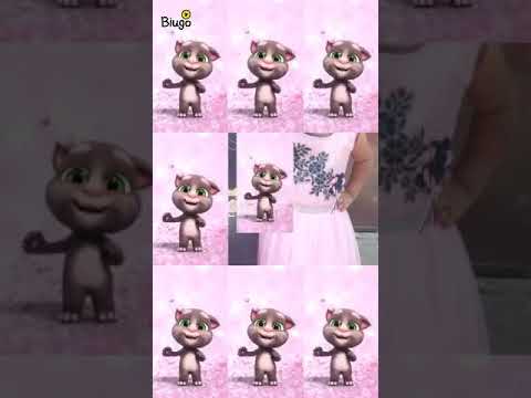 Happy birthday Tanveer.