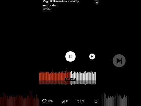 Vago-Tulare county southsider