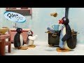 Pingu English New Episodes 36