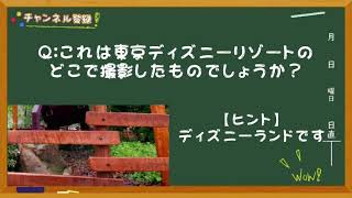 【この柵どこで見たっけ？】ディズニーのどこで撮ったもの？《毎朝飯前クイズ！》