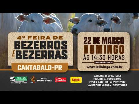 4º FEIRA DE BEZERROS E BEZERRAS  - CANTAGALO/PR.