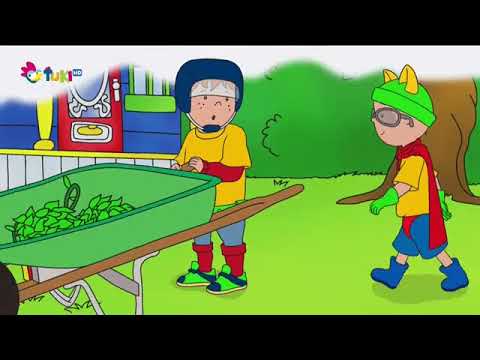 Volám sa Caillou 17 SK