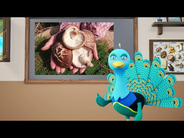 thumbnail of the course