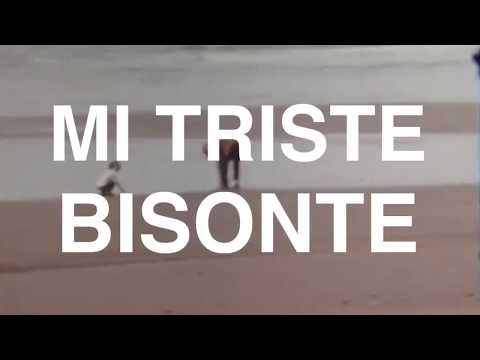 Mi Triste Bisonte - Overly (Lyric Video)