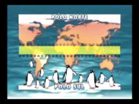 Tchibum TV - Pinguim