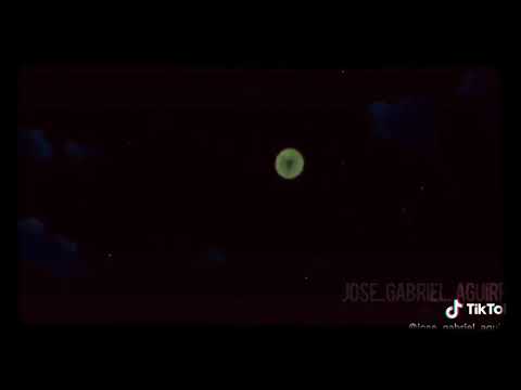 AMV Parasite suburba candles