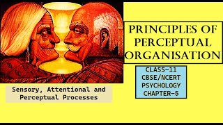 CLASS-11,PSYCHOLOGY,CHAPTER-5, Principles of Perceptual Organisation. #cbse #ncert #class11 #msw