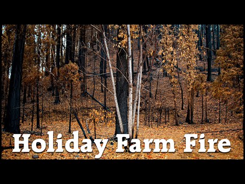 Holiday Farm Fire Damage, Oregon
