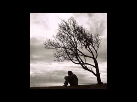 Biokonstruktor - Insomnia