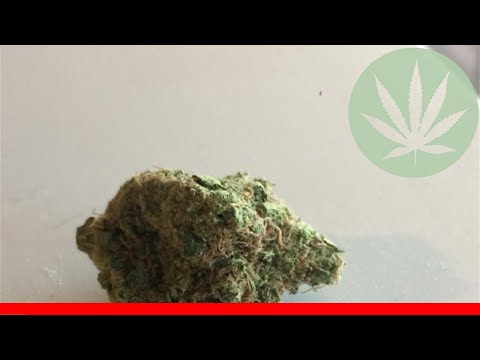 Zkittlez - All About This Strain