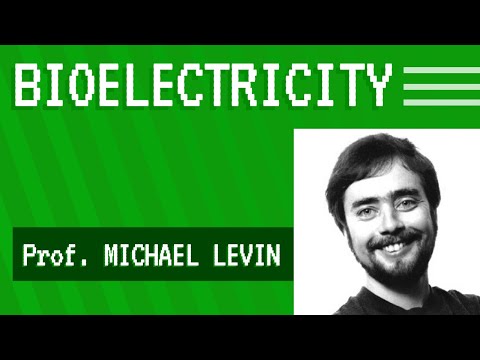 DeSciNYC 14 - Bioelectricity with Professor Michael Levin