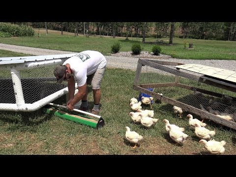 You've never seen anything like this! Cool chicken coop ideas for "grass fed" poultry!