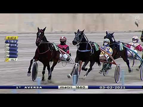 Aversa trotto 3 Febbraio 2021 - 1° Corsa