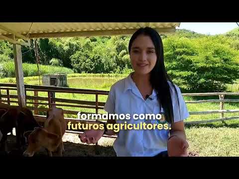 Proyecto Pedagógico Productivo I.E. José María Falla, El Dovio - Valle.