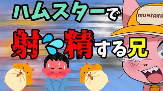 ハムスターで果てる兄【マスタード切り抜き】