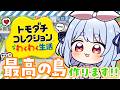 【初見】友達が少ないウサギが『トモダチコレクション わくわく生活』で最高の島を作る！ぺこ！【ホロライブ/兎田ぺこら】