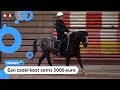 Dieven stelen paardenzadels bij tientallen maneges
