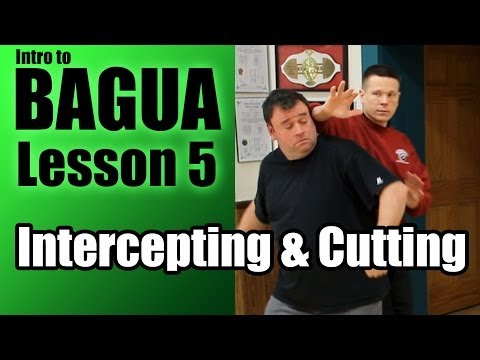 Bagua Intercepting & Cutting - Intro to Clear's Bagua Lesson 5