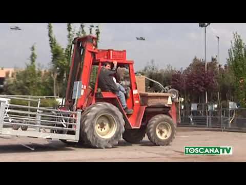 2019-06-28 PISTOIA - EXPORT, FORTE AUMENTO NEL PRIMO TRIMESTRE 2019