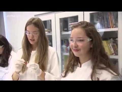 Wege des Fleisches - Woher kommt unser tägliches Fleisch? [Doku ARTE 2015] [HD]