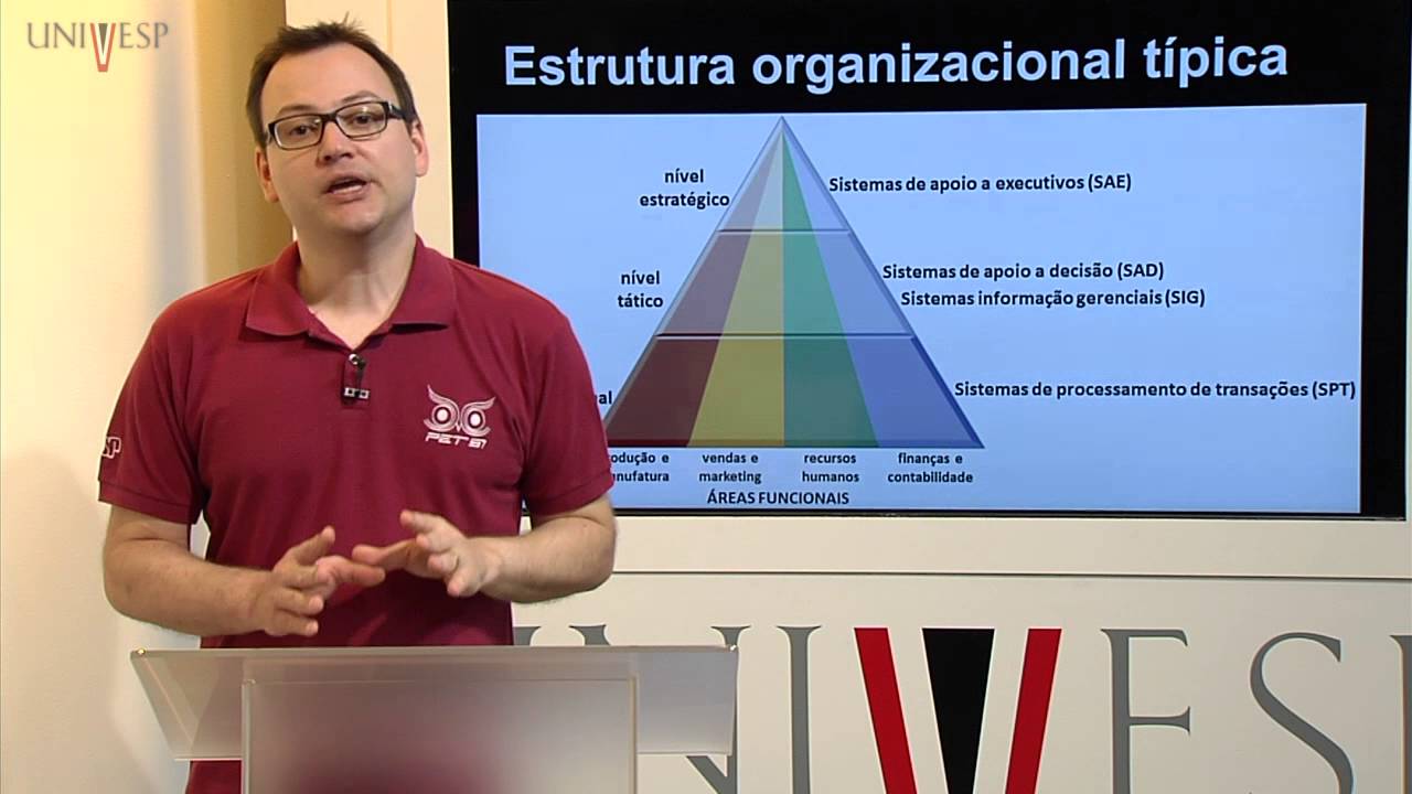 Sistemas de Informação - Aula 5 - Estrutura organizacional e tipos de sistemas de informaçã