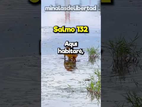 Salmo 132 - En Espiritu Y En Verdad