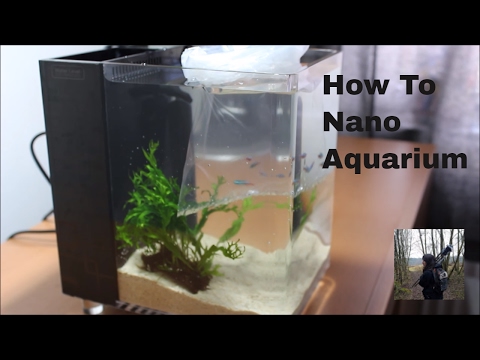 how to set up a nano fish tank (office aquarium)