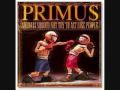 Mary The Ice Cube-Primus