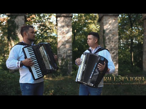 Raul si Viorel - Calea, Adevarul si Viata | Cover
