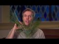 46 | Palm Sunday -- Chuck Knows Church - YouTube