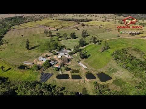 FAZENDA 132 HECTARESE COMPLETÍSSIM EM CAMAPUÃ MS BRASIL