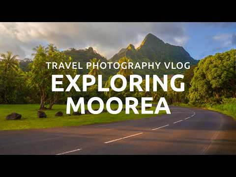 Tropical MOOREA 🇵🇫 French Polynesia Travel Vlog