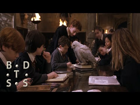 6. "Harry Finds Nicholas Flamel Card" Harry Potter and the Philosopher's Stone Deleted Scenes