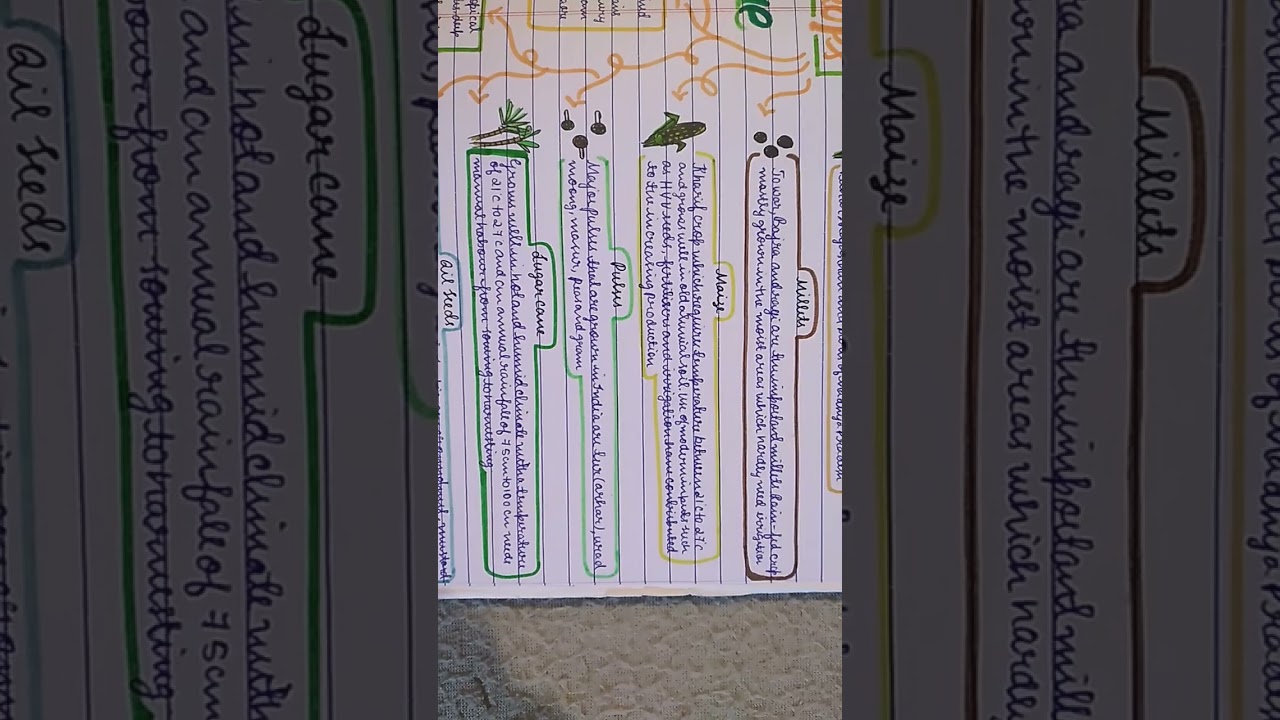 Class 10 Geography Chapter 4: Agriculture Mindmap🌱#class10 #Geography #agriculture #mindmap #short