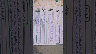 Class 10 Geography Chapter 4: Agriculture Mindmap🌱#class10 #Geography #agriculture #mindmap #short