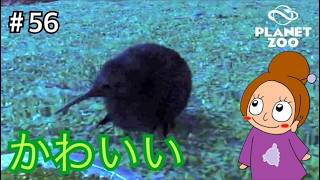 はじめましてキウイちゃん《プラネットズー/初見》女性実況 #56