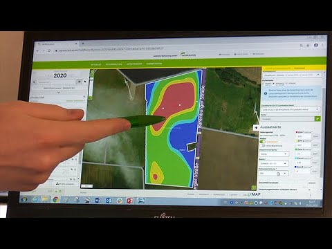 Mit optimaler Aussaat: Mais wächst ohne Trockenstress.