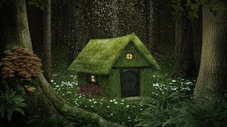 Fantasy Music - Shadow Woods