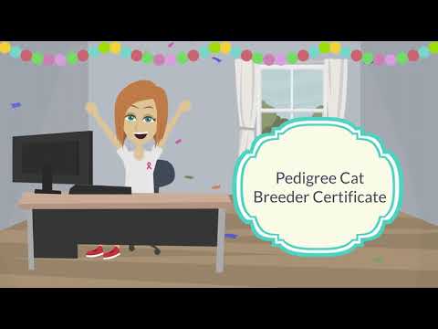 Complete Guide To Breeding Pedigree Cats