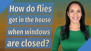 How do flies get in the house when windows are closed?
