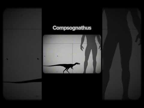 Smallest dinosaurs #dinosaur #prehistoric