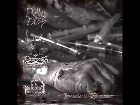 Bella Dosis/Neurosexx/Catalepsia/Suicidal Forest. -Ausencia De Dopamina ( Split)