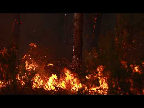 Live: Emergency operations continue as wildfires spread in Spain